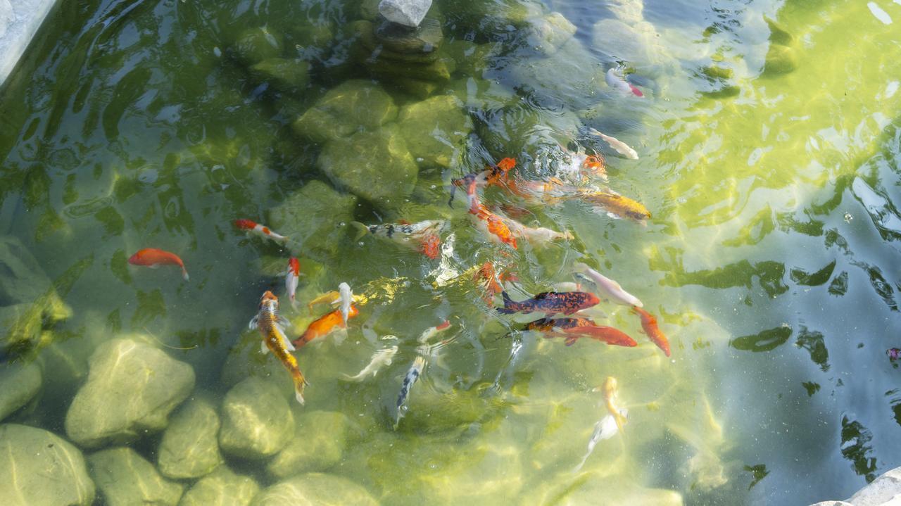 Pisces Garden B&B Чеченг Екстериор снимка
